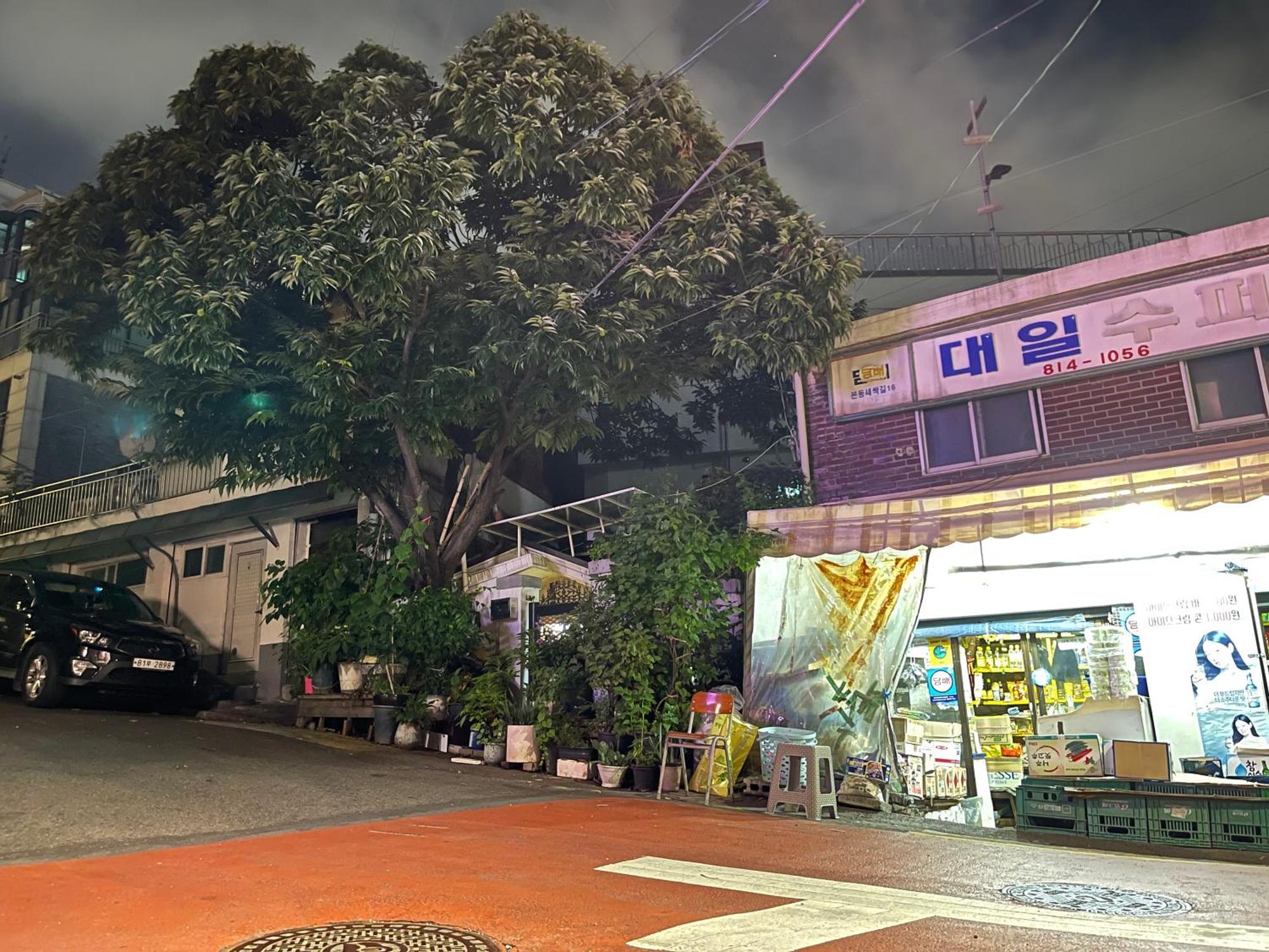 Hhzib, Homestay On A Hill In The Heart Of Seoul - 'Best Seoul Stay 2024' By Séoul Extérieur photo